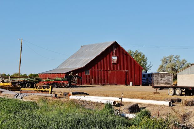Barn